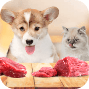 Benefits of giving raw diet to cats and dogs